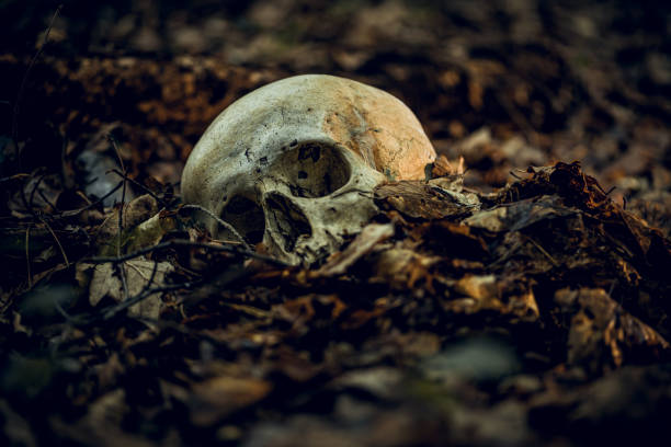 Missing 103-Year-Old Security Guard Found Dead in Balaka
