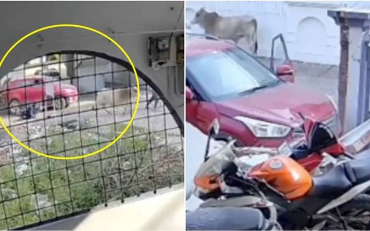 VIDEO FUERTE: Adolescente arrolla a motociclista y choca en India mientras aprendía a conducir