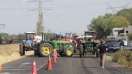 ¿Dónde quedó el granero de México? Cunde desesperanza entre agricultores de Guanajuato