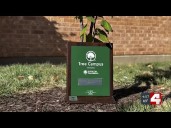 South St. Louis school wins state conservation award for tree planting program