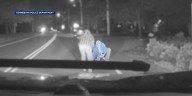 No finders keepers: Police searching for man who picked up $7,000 in cash off street