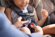 Legislator Davis Partners with Nassau County PD to Offer Free Car Seat Safety Checks at RVC Recreation Center