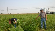 Federal government shutdown severs access to aid for farmers in need