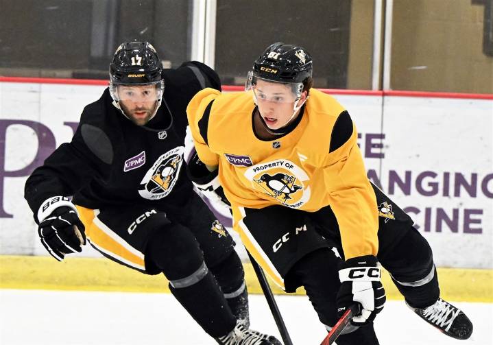 Penguins’ lines come into focus as youngsters Harrison Brunicke, Ben Kindel will make debuts in season opener