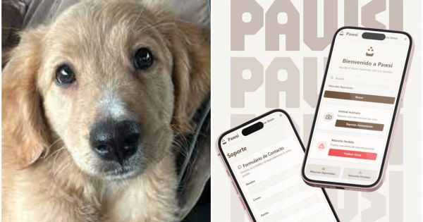 Pawsi: la app creada en Salta que ayuda a reunir mascotas perdidas con sus dueños