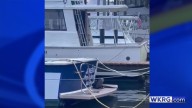 WATCH: Rare otter sighting at Fairhope Docks Marina (video)