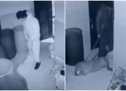 El terrible maltrato que sufría perrita en Bogotá a manos de su cuidador