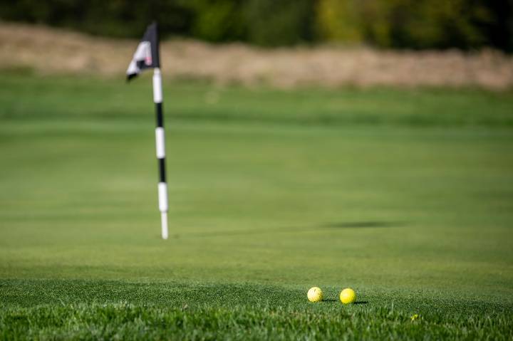 Saginaw-area sports highlights: Freeland claims girls golf regional title