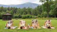 Need Chic Bachelorette Trip Ideas? These Airbnb Rental Houses Deliver