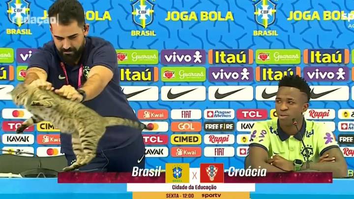 Los 20 datos que confirmarían ‘la maldición del gato’ en las Selecciones Brasil
