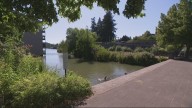 Lake Oswego releases report on lake activity during first summer of public access