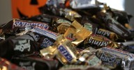 Milwaukee County Parks to host 2 spooktacular family-friendly Halloween celebrations
