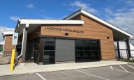 Lakewood opens newly relocated animal shelter