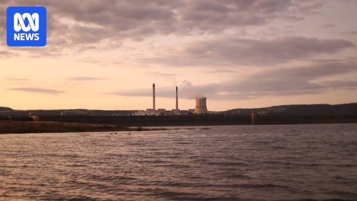 Search operation for missing swimmer at Callide Dam in Biloela