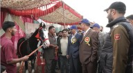 Livestock Show 2025: Scientists, entrepreneurs, farmers showcase Valley’s rich animal resources, agri