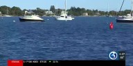 New law looks to bring invasive species out of Long Island Sound and onto your dinner plate