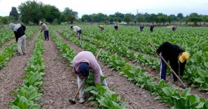Se anticipó beneficio para productores