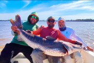 Video: pescadores entrerrianos capturaron un surubí de 60 kilos y lo devolvieron al río