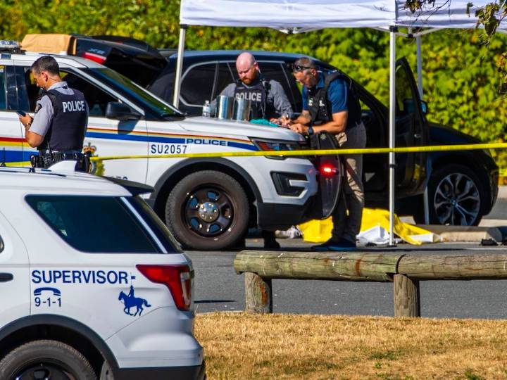 Convicted killer pleads guilty to separate South Surrey manslaughter