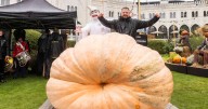 Good Gourd! 2,000 pound pumpkin crowned as champion
