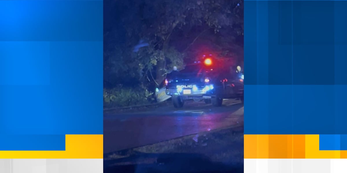 Suspect in custody after shots fired in Pigeon Forge Wednesday night, police say