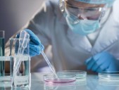 Un nuevo modelo de embrión en 3D cultivado en el laboratorio produce células sanguíneas
