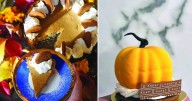 Fall harvest means pumpkin spice and everything nice