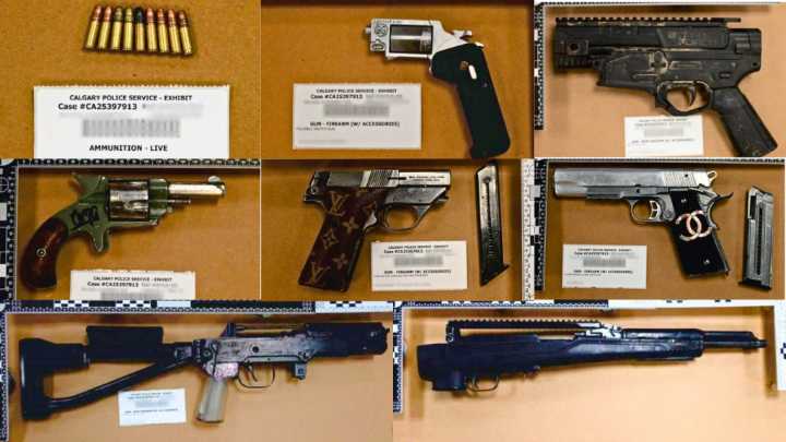 Police seize dozens of weapons, drugs in Calgary trafficking investigation