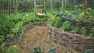 The Common Spice That'll Help Block Out Weeds When Planted In The Garden