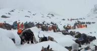 Snowstorm traps hundreds of hikers on Mount Everest slopes during China's national holiday
