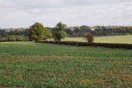 Promoter pushing for 1,200 homes between Leamington and Kenilworth | Local News 