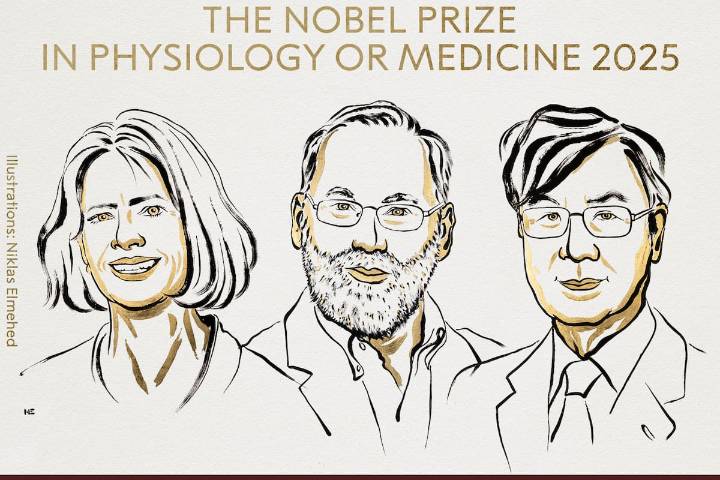 Tres científicos ganan Premio Nobel de Medicina por revolucionar el estudio del sistema inmunológo