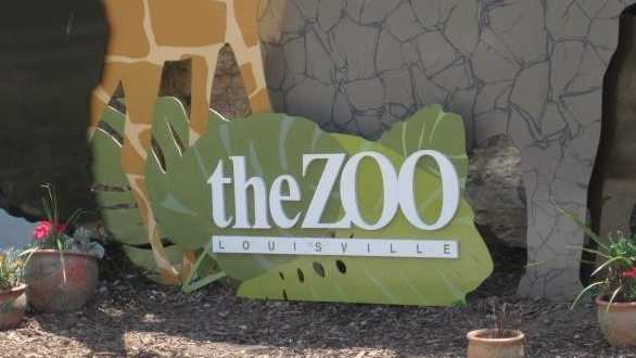 Louisville Zoo hosting after-hours Halloween event 'Skelebration' this week