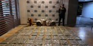 Incautaron 42 kilos de marihuana en cajas de mensajería en Cali: todo fue gracias a la acción de un canino de la Policía