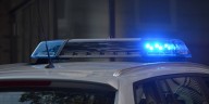 Roban 10 mil pesos, otros objetos y un cachorro Pug en Valladolid
