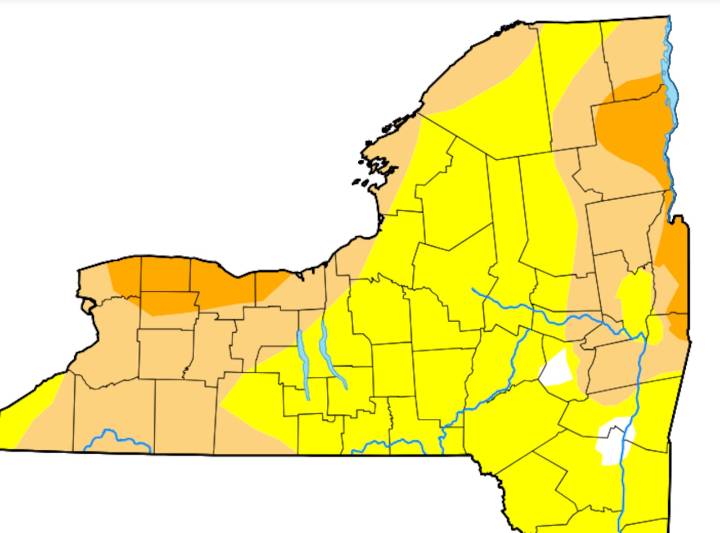 One Upstate city is in severe drought after driest stretch of weather in 138 years