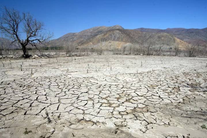 Chile suma 15 años de megasequía y casi 2 millones de hectáreas quemadas: advierten intensificación del cambio climático