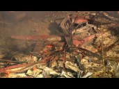 Update on deadly explosion at explosives manufacturing plant in Tennessee