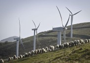 El Gobierno central rechaza definitivamente el parque eólico Itsaraz por su impacto ambiental