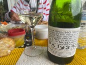 1723 Vineyards champions Chardonel: The rising star of mid