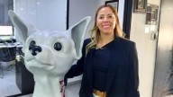 Nombra ONU a Chihuahua como Ciudad Resiliente, anuncia Ana Lilia