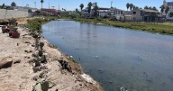 El limbo legal de plantas tratadoras envenena mar de Rosarito