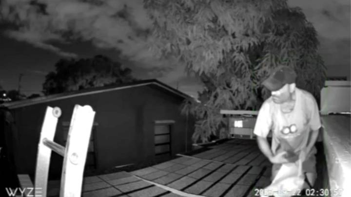 Man caught on camera allegedly stealing pigeons from Hialeah home: Police