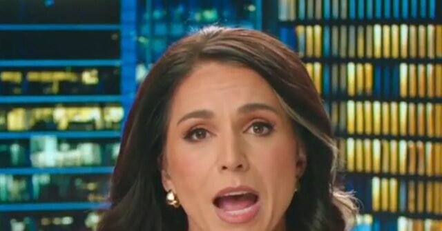 DNI Gabbard: Left-Wing ICE Threats 'Not the Values of the First Amendment and Peaceful Protest'