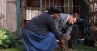 All Creatures Great and Small season 6 episode 2 cast: Who are the guest stars in Old Dog New Tricks?
