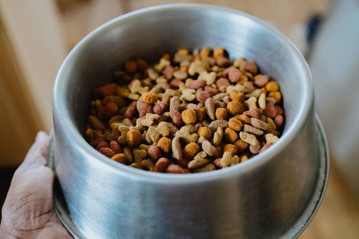 FDA issues recall for multiple pet food products