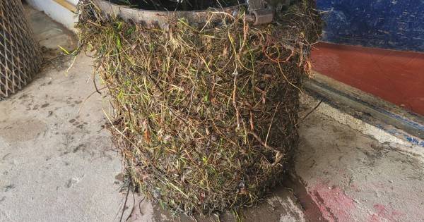 Disminución temporal de agua en algunas zonas de la ciudad
