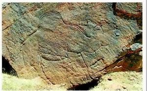 Scientists find ancient animal rock carvings in Saudi Arabia