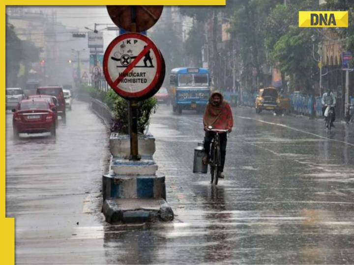 Tamil Nadu weather LIVE Updates: All schools to remain closed due to heavy rain