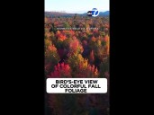 Bird's-eye view of colorful fall foliage